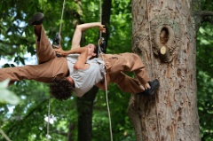 2 dans l arbre 010 * 6000 x 4000 * (7.72MB)